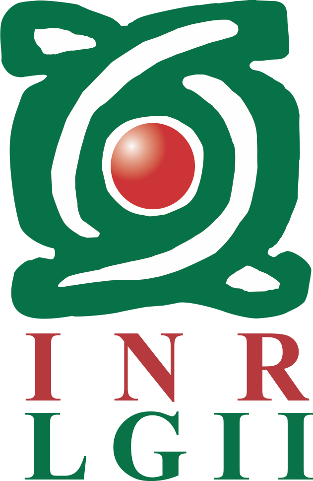 Instituto Nacional de Rehabilitación (INR-DIF)